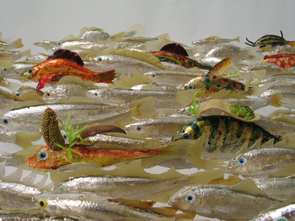550 pesci fuor d'acqua particolare 2 005 copia